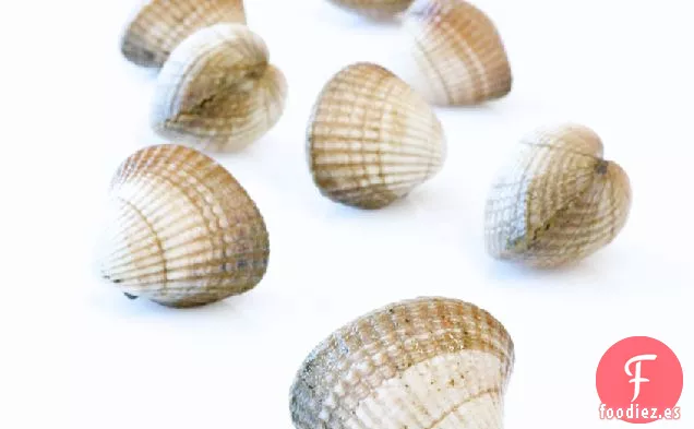 John Dory Frito En sartén Con Berberechos, Hinojo Y Velouté De Berberecho