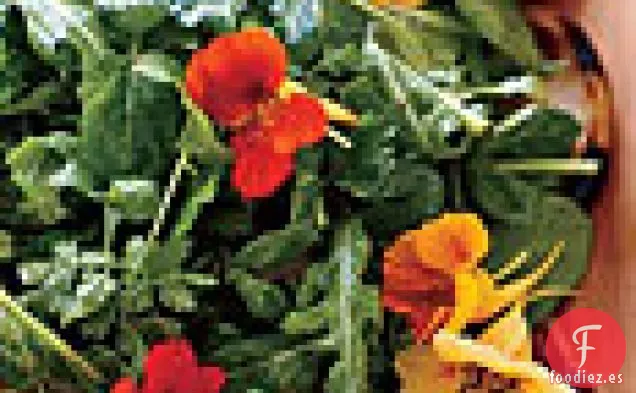 Ensalada de Hierbas Frescas y Verduras con Berenjena Frita