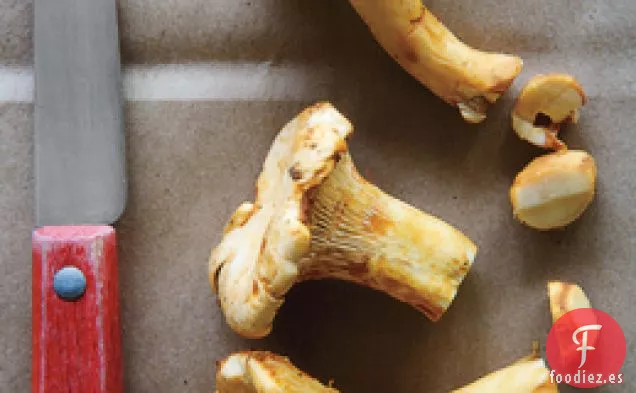 Ensalada de Rebozuelos Tiernos