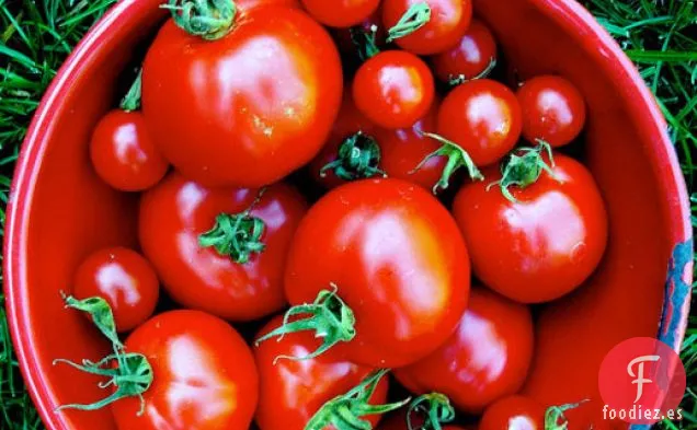 Ensalada de Tomate Gorgonzola