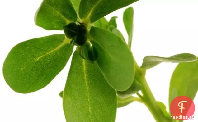 Ensalada De Purlsane, Tomate Y Fetta Persa