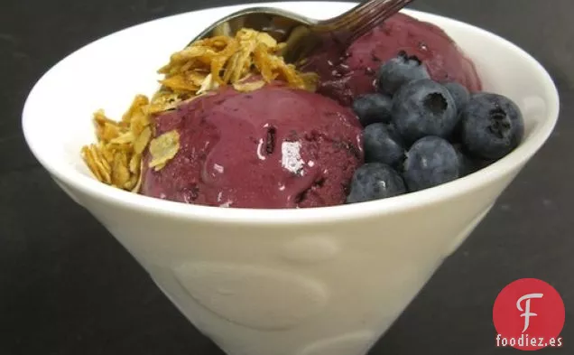 Yogur Helado de Vainilla y Arándanos