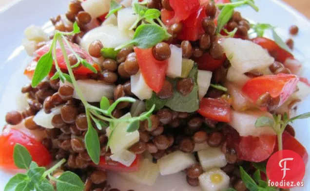 Ensalada de Lentejas Brillantes con Manzanas, Hinojo y Hierbas