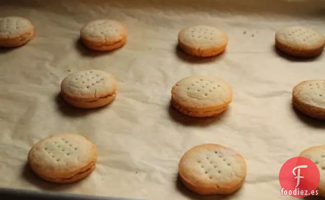 Galletas Saladas Comunes Sin Gluten