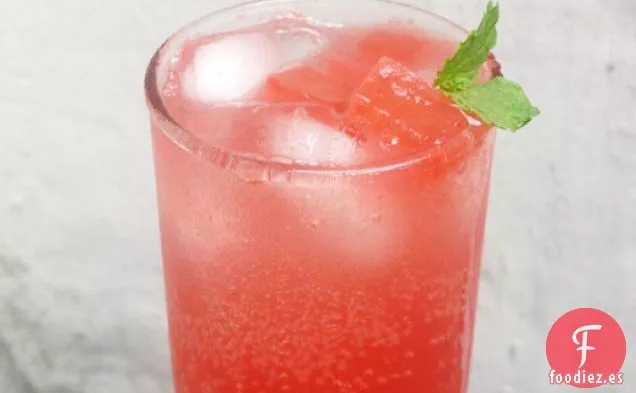 Arbusto de Menta y Sandía con Espátula de Sandía