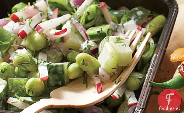 Ensalada de Pepino y Azúcar