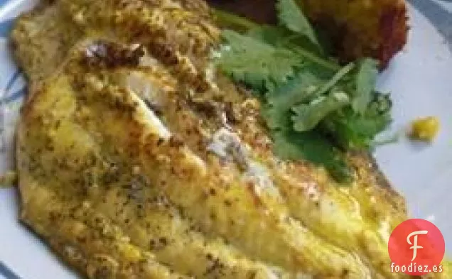 Pez Gato Griego a la Parrilla de Big Ray