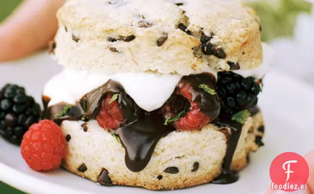 Salsa de Chocolate Negro