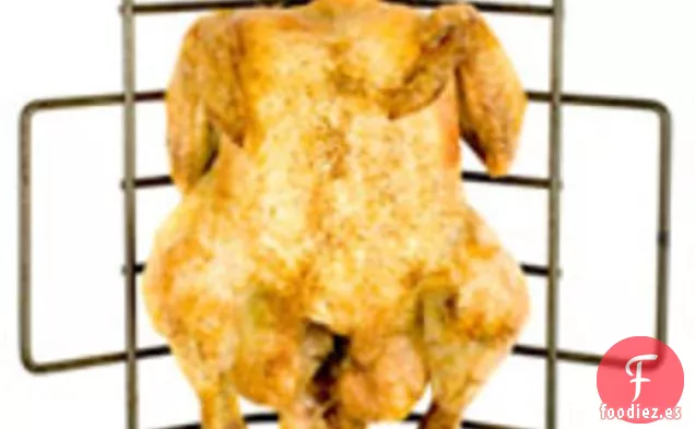 Pollo de Primavera