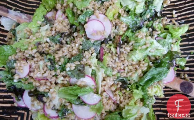 Ensalada De Bayas De Trigo Con Aderezo De Limón Y tahini