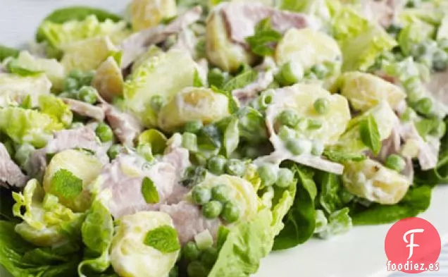 Ensalada de jamón grande