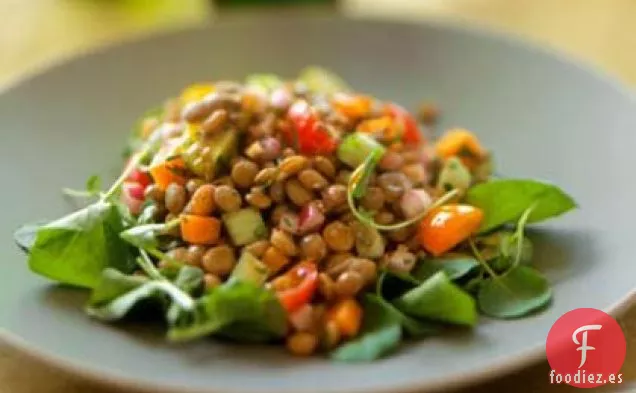 Ensalada de Verduras a la Parrilla con Lentejas