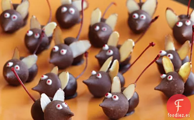 Ratones Masticables