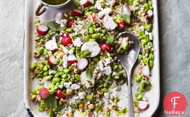 Ensalada de habas, cebada y menta
