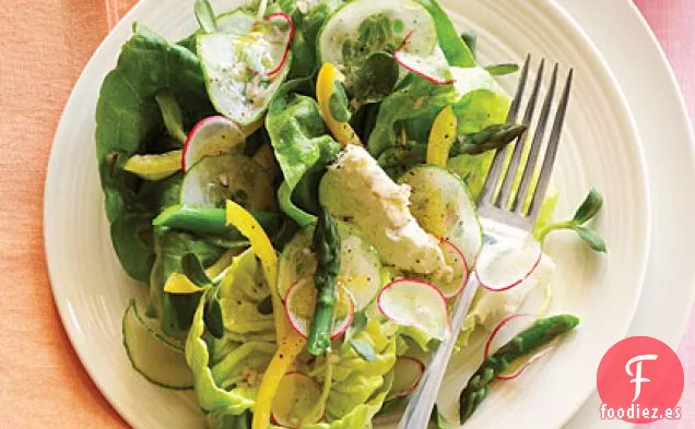 Ensalada de Brotes de Girasol