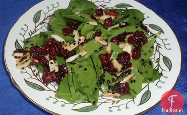Ensalada de Espinacas y Arándanos