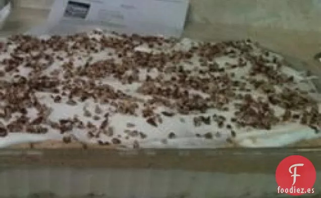 Tarta de Queso de Calabaza I