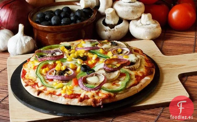 Alternativa de Queso Vegano Mozzarella Fundible