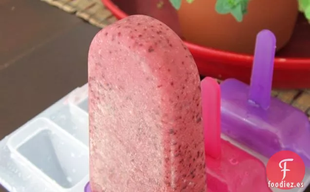 Paletas Heladas con Crema de Arándanos Bajas en Grasa