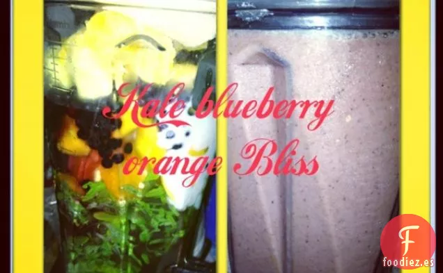 Batido de Col Rizada con Arándanos y Naranja Bliss
