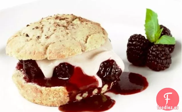 Látigo de Anacardo (Crema Batida Vegana sin Soja)