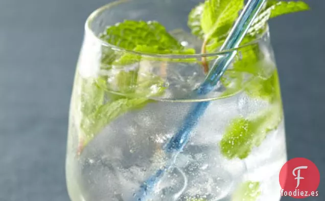 Espuma de Ginebra Acuñada