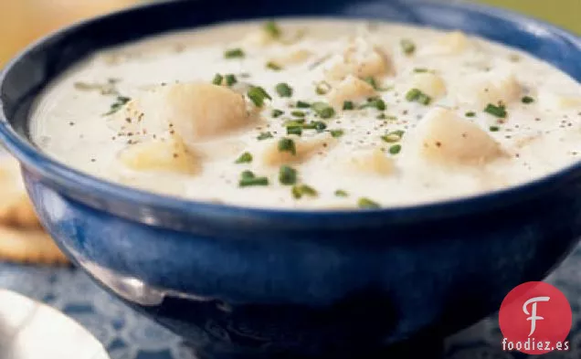 Sopa de Vieira