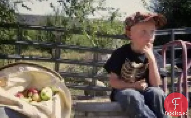 Fiesta y picnic de recolección de manzanas Qn