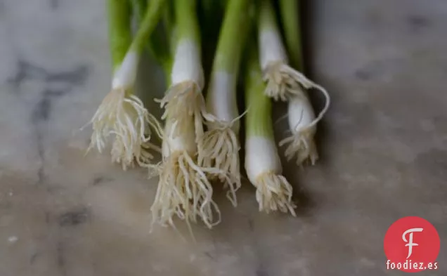Quinua Con Grosellas, Eneldo Y Calabacín