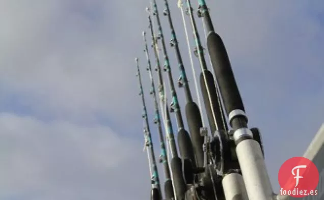 Elegir el Marisco adecuado-Compre Americano