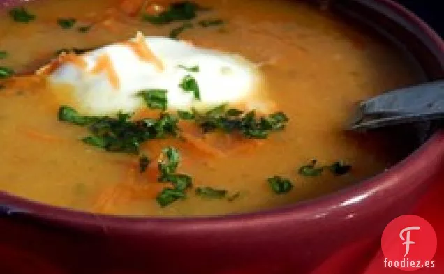 Sopa de Zanahoria India I