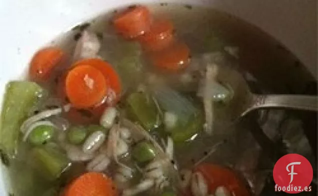 Sopa de Pavo de Cebada Abundante