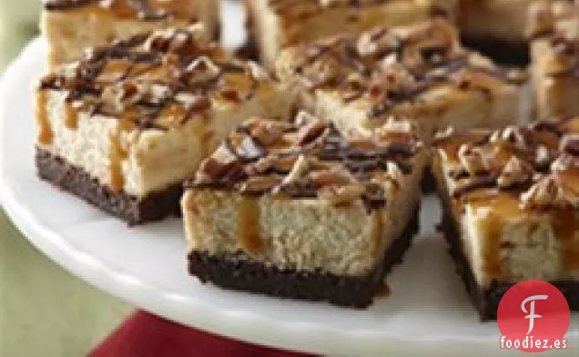 Tarta de queso de Tortuga de Karo®