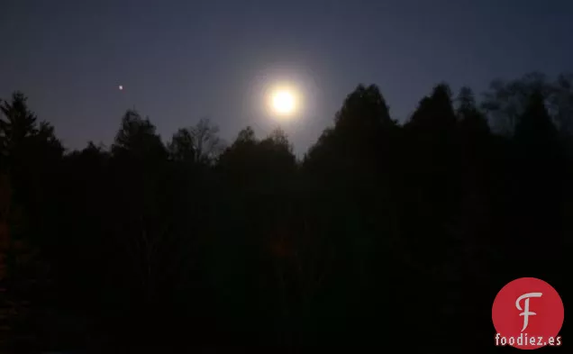 Magdalenas de Espelta de Zanahoria y Chía