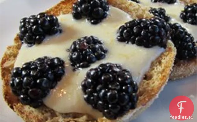 Crema de Ricota para Untar