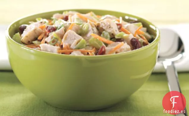 Ensalada Crujiente de Pavo Navideño