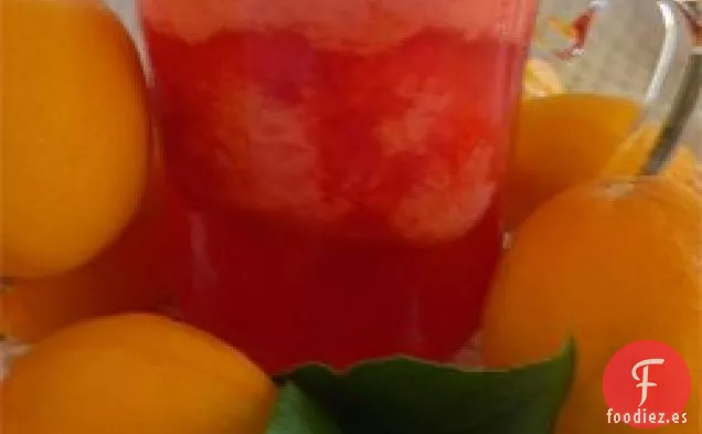 Ponche de Aguanieve Rojo