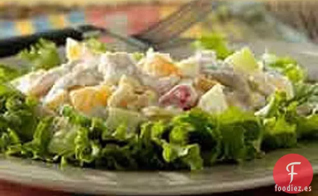 Ensalada de Pollo con Frutas
