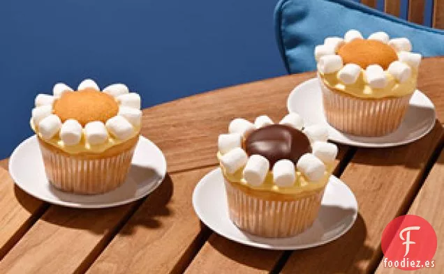 Limón Daisy Cupcakes