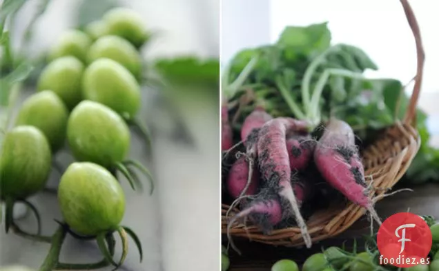 La primera Salsa de la Temporada: Rábano y Tomate Verde