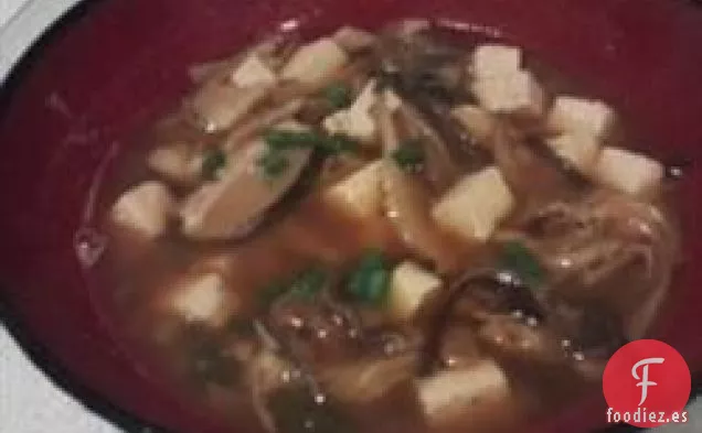Sopa Picante y Agria Vegana