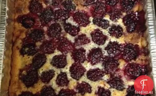 Blackberry Zapatero