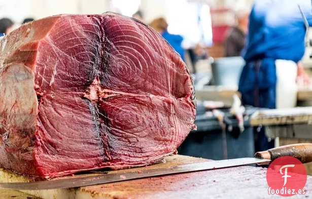 Atún Aleta Amarilla Wasabi