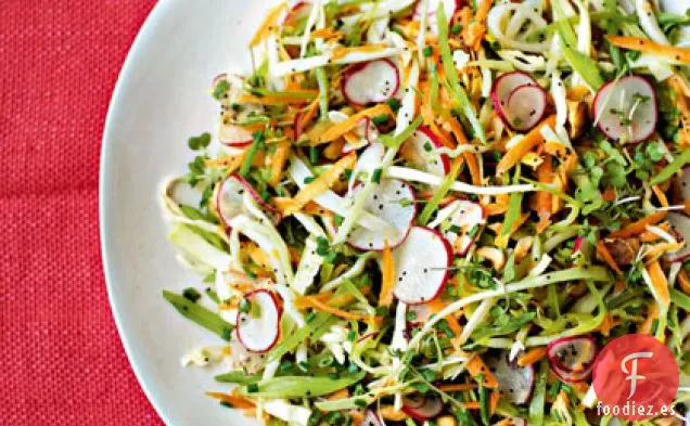 Ensalada de Col de Verano