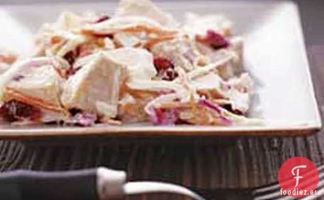 Ensalada de Repollo de Pavo