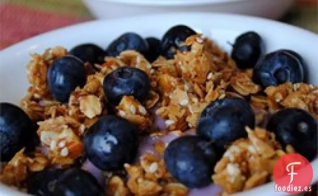 Muesli Europeo