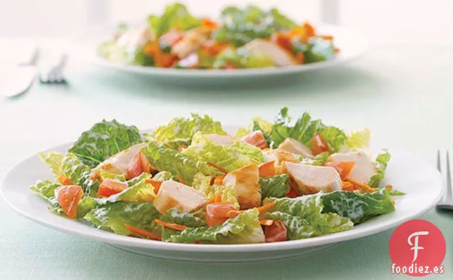 Ensalada de Pollo con Verduras Frescas