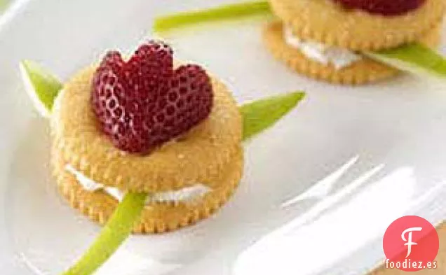 Tulipán RITZ® 