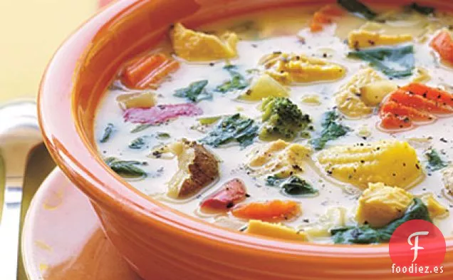 Sopa de Verduras y Pollo