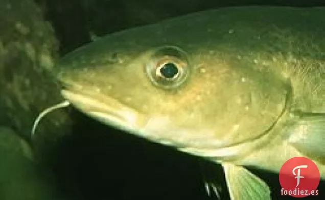 Bacalao Vasco Clásico Vizcaína de Bahía Vizcaya